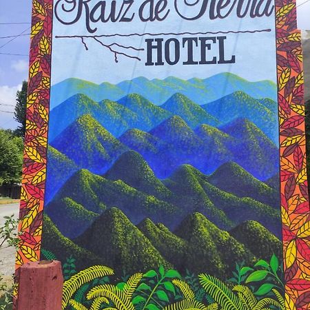 Hotel Raiz De Sierra Matlapa Экстерьер фото
