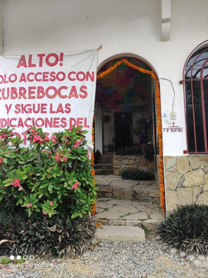 Hotel Raiz De Sierra Matlapa Экстерьер фото